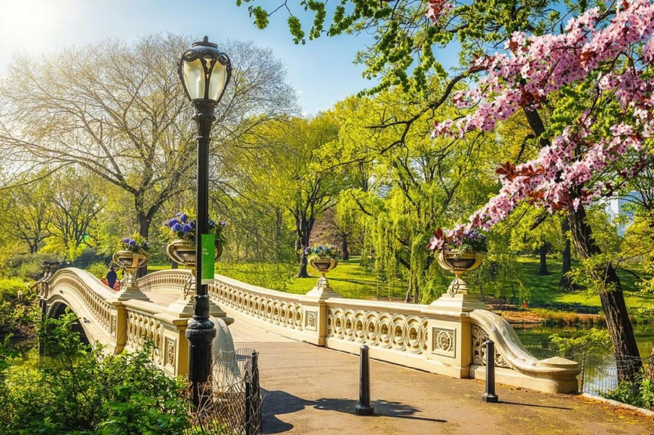 Appartement Frederick's Place - Convenient Walk To Central Park And Columbia University *